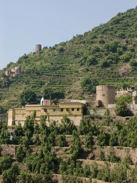 الأشجار والنباتات الخضراء على سفوح الجبال ،البيوت والمباني السكنية على القمم والمرتفعات الجبلية في محافظة فيفاء، المدرجات الزراعية في مدينة جازان في السعودية، خلفية الطبيعة في المملكة .