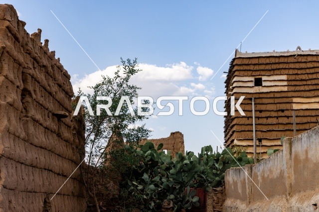 Famous landmarks and tourist attractions, tourism in ancient heritage villages, neighborhoods and traditional mud houses, ancient historical establishments in the village of Al-Batha in the Asir Province of the Kingdom of Saudi Arabia, Saudi civilization, authenticity, and heritage.