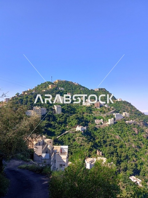 The agricultural terraces on the mountain slopes, the old traditional houses on the Al-Fifah mountains in Jazan, southern Saudi Arabia, the peaks and rocky elevations during the day, a natural tourist place and area, the trees, plants, and green nature spaces.