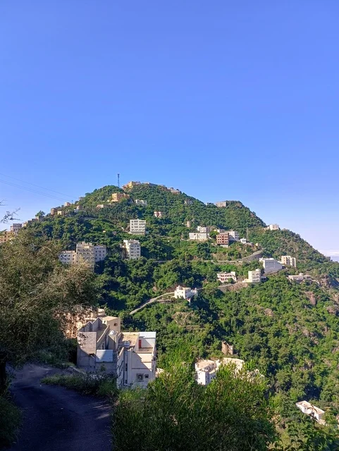 The agricultural terraces on the mountain slopes, the old traditional houses on the Al-Fifah mountains in Jazan, southern Saudi Arabia, the peaks and rocky elevations during the day, a natural tourist place and area, the trees, plants, and green nature spaces.