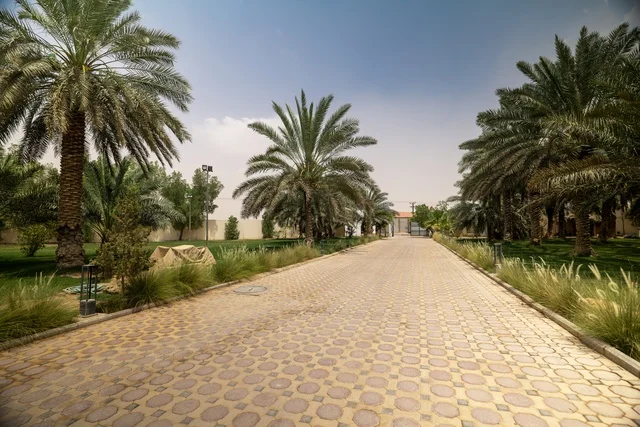 مشروع واجهة الرياض، اماكن الجلوس الخارجية في واجهه روشن في النهار، مكان ومنطقة ترفيهيه سياحية في المملكة العربية السعودية، أنشطة وفعاليات عائلية مسلية، مراكز التسلية والترفيه والتسوق التجاري في مدينة الرياض