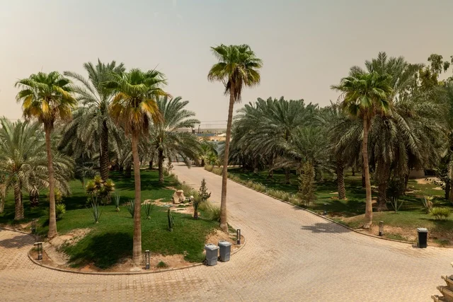 Entertainment and leisure centers and commercial shopping in the city of Riyadh, the Riyadh Front project, outdoor seating areas at the Roshan Front during the day, a recreational and tourist area in the Kingdom of Saudi Arabia, fun family activities and events.