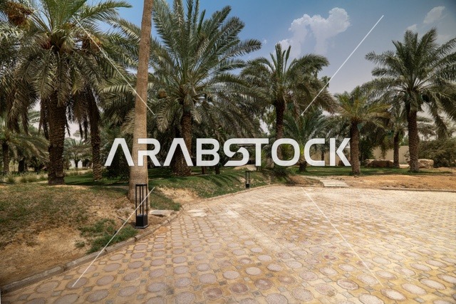 أنشطة وفعاليات عائلية مسلية، مراكز التسلية والترفيه والتسوق التجاري في مدينة الرياض، مشروع واجهة الرياض، اماكن الجلوس الخارجية في واجهه روشن في النهار، مكان ومنطقة ترفيهيه سياحية في المملكة العربية السعودية