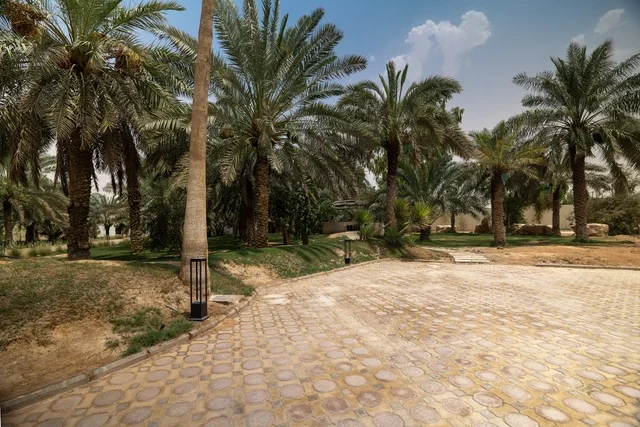 Fun family activities and events, entertainment and shopping centers in the city of Riyadh, the Riyadh Front project, outdoor seating areas at the Roshan Front during the day, a recreational and tourist area in the Kingdom of Saudi Arabia.