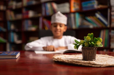 Developing reading skills for students, love for culture and exploration, an Arab Gulf Omani student wearing a dishdasha and kumma is reading a book, spending free time learning and self-cultivation, visiting the school library, education and study in the Sultanate of Oman, and the interest in browsing useful books.