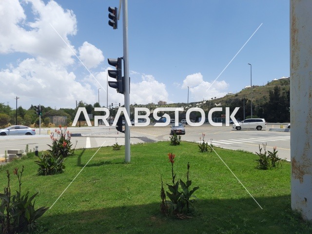 الطرقات الاسفلتية المعبدة في أماكن القمم والمرتفعات الجبلية في وقت النهار، طريق معبد في منطقة الباحة، النباتات الخضراء البرية على حافتي الشارع، أعمدة الإنارة الطرقية، حركة مرور السيارات في الشوارع