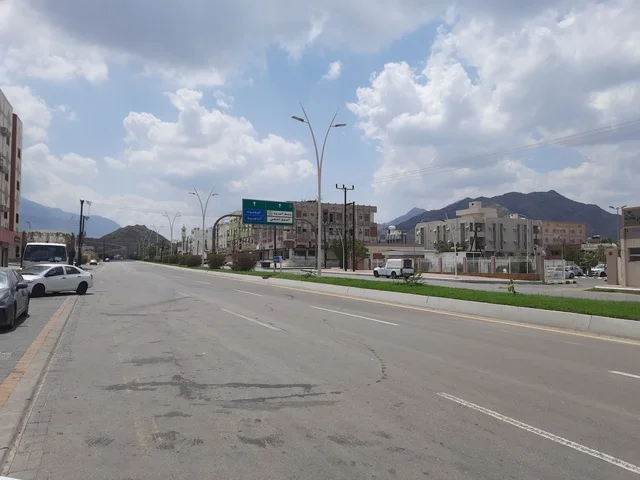 The paved asphalt roads in the places of peaks and mountainous heights during the day, a paved road in the Al-Baha area, wild green plants on the sides of the street, street lighting poles, traffic of cars in the streets.