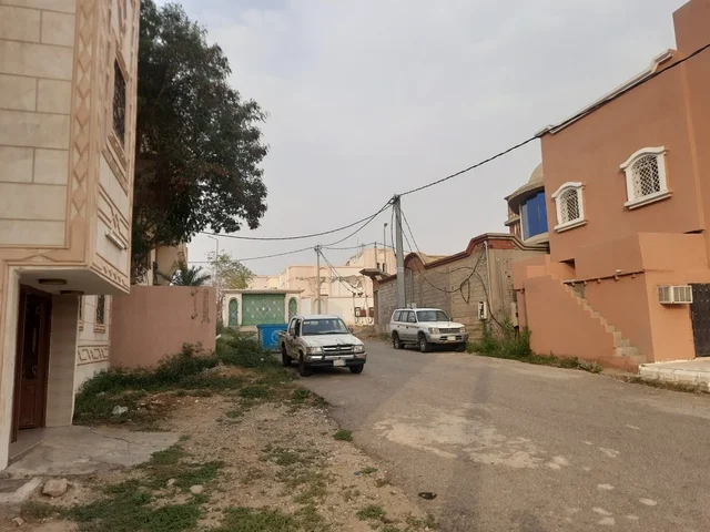 The paved asphalt roads in the places of peaks and mountainous heights during the day, a paved road in the Al-Baha area, wild green plants on the sides of the street, street lighting poles, traffic of cars in the streets.