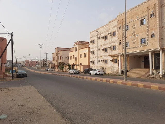 The paved asphalt roads in the places of peaks and mountainous heights during the day, a paved road in the Al-Baha area, wild green plants on the sides of the street, street lighting poles, traffic of cars in the streets.