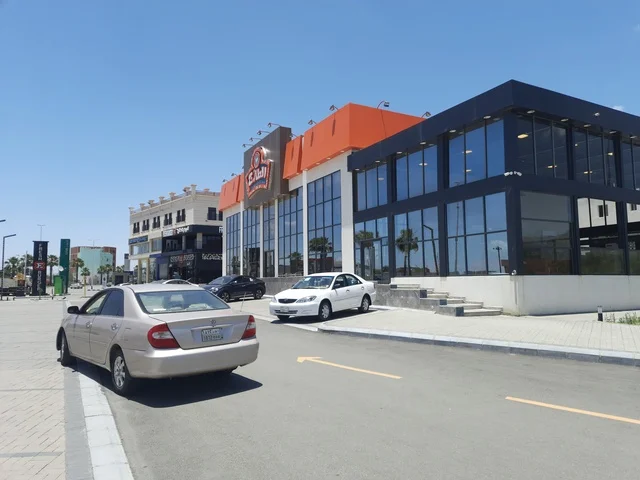 Buildings and shops, asphalt roads paved in mountainous areas during the day, a paved road in the Al-Baha region, street lighting poles, traffic of cars in the streets.