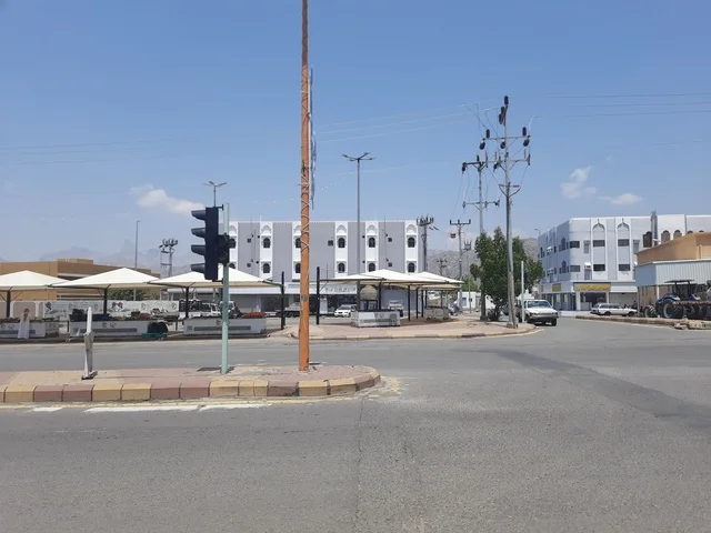 Buildings and shops, asphalt roads paved in mountainous areas during the day, a paved road in the Al-Baha region, street lighting poles, traffic of cars in the streets.