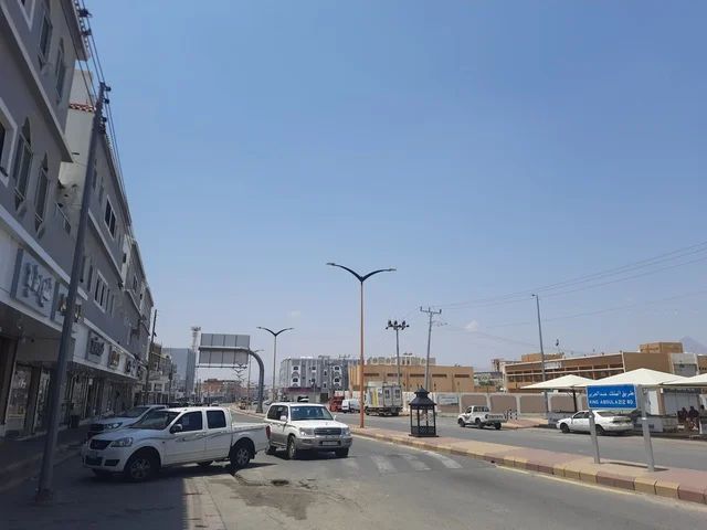 Buildings and shops, asphalt roads paved in mountainous areas during the day, a paved road in the Al-Baha region, street lighting poles, traffic of cars in the streets.