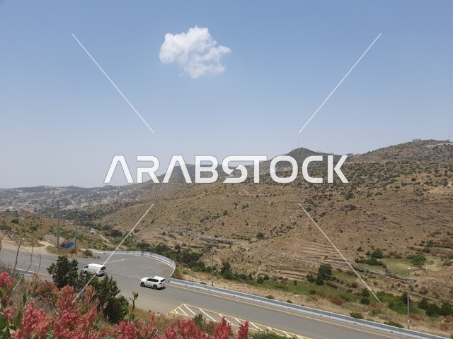 الاهتمام بالتشجير والزراعة في الحدائق والمنتزهات الترفيهية في محافظة الباحة، منظر طبيعي على الجبل في المملكة العربية السعودية، مكان ومعلم سياحي مشهور، القمة والمرتفع الجبلي