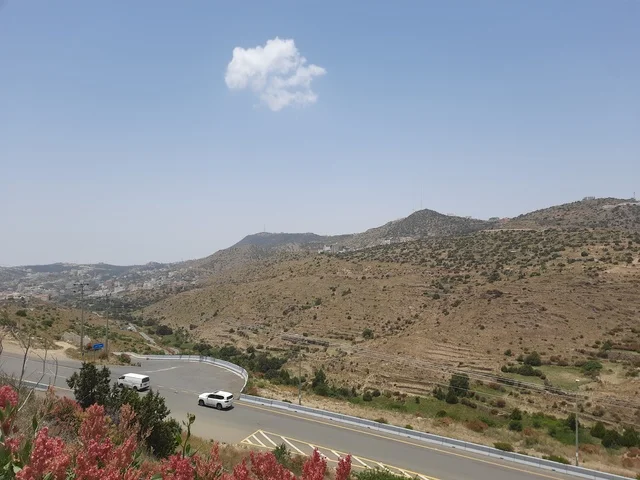 الاهتمام بالتشجير والزراعة في الحدائق والمنتزهات الترفيهية في محافظة الباحة، منظر طبيعي على الجبل في المملكة العربية السعودية، مكان ومعلم سياحي مشهور، القمة والمرتفع الجبلي