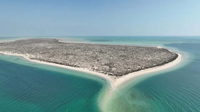 الطبيعة الساحلية و المياه الفيروزية ،تناغم المساحات الخضراء مع الشواطئ الرملية، تصوير درون جوي لجزيرة الحويلات في مدينة الجبيل ،أجواء بحرية سياحية