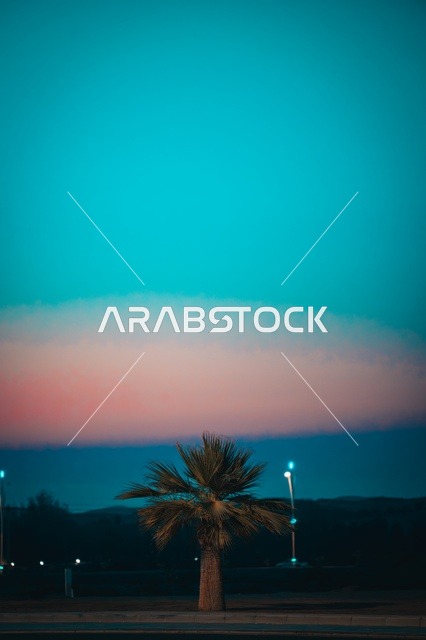 المناظر الطبيعية على شواطئ أملج في مدينة تبوك, صفحة المياه الزرقاء الصافية، شواطئ المملكة العربية السعودية, أماكن السياحة وقضاء الوقت الممتع, معالم سياحية بحرية في الغروب
