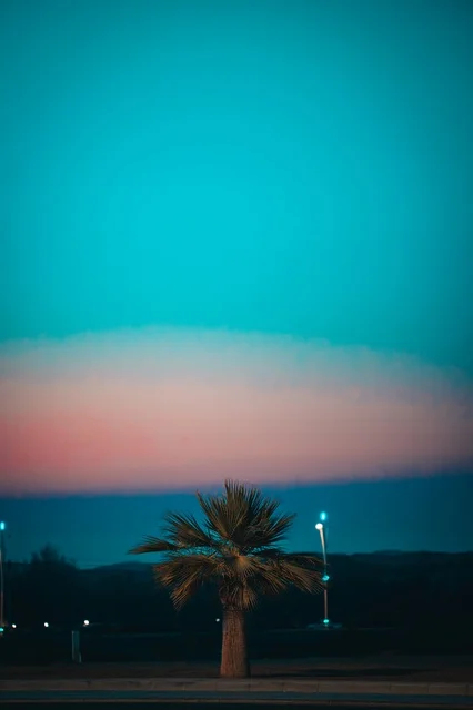 المناظر الطبيعية على شواطئ أملج في مدينة تبوك, صفحة المياه الزرقاء الصافية، شواطئ المملكة العربية السعودية, أماكن السياحة وقضاء الوقت الممتع, معالم سياحية بحرية في الغروب