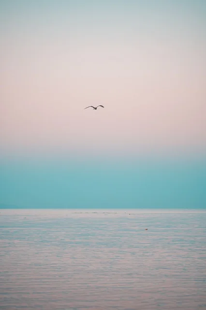 المناظر الطبيعية على شواطئ أملج في مدينة تبوك, صفحة المياه الزرقاء الصافية، شواطئ المملكة العربية السعودية, أماكن السياحة وقضاء الوقت الممتع, معالم سياحية بحرية في الغروب