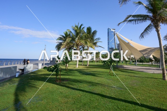 الاستمتاع بالهدوء والمناظر الطبيعية، ،الاهتمام بالتشجير وتوسيع المساحات الخضراء في البلاد، الكورنيش المطل على ساحل البحر الأحمر, مناطق جذب الزوار إلى مدينة جدة الساحلية, معالم وأماكن سياحية مشهورة, الواجهة البحرية في المملكة العربية السعودية, المناظر الطبيعية المائية