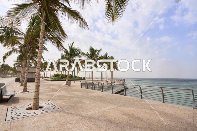 الكورنيش المطل على ساحل البحر الأحمر, التقدم و التطور العمراني السعودي, مناطق جذب الزوار إلى مدينة جدة الساحلية, معالم وأماكن سياحية مشهورة, الواجهة البحرية في المملكة العربية السعودية, المناظر الطبيعية المائية، الاهتمام بزراعة الأشجار