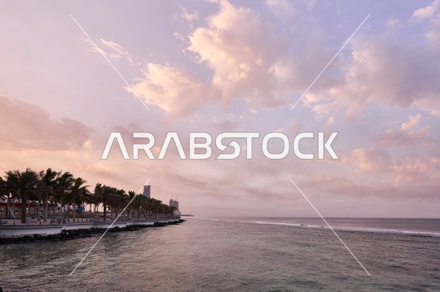 The clear sky at sunset, the corniche overlooking the Red Sea coast, attractions for visitors to the coastal city of Jeddah, famous landmarks and tourist places, the waterfront in the Kingdom of Saudi Arabia, water landscapes, and the interest in planting trees.