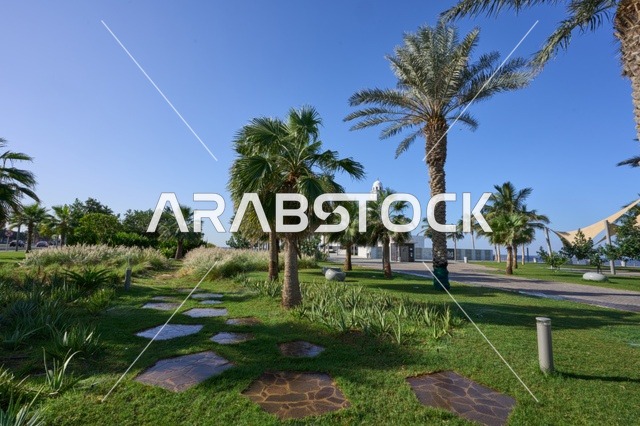 الاستمتاع بالهدوء والمناظر الطبيعية، ،الاهتمام بالتشجير وتوسيع المساحات الخضراء في البلاد، الكورنيش المطل على ساحل البحر الأحمر, مناطق جذب الزوار إلى مدينة جدة الساحلية, معالم وأماكن سياحية مشهورة, الواجهة البحرية في المملكة العربية السعودية, المناظر الطبيعية المائية