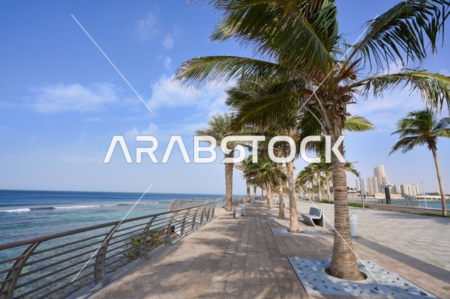 الكورنيش المطل على ساحل البحر الأحمر, التقدم و التطور العمراني السعودي, مناطق جذب الزوار إلى مدينة جدة الساحلية, معالم وأماكن سياحية مشهورة, الواجهة البحرية في المملكة العربية السعودية, المناظر الطبيعية المائية، الاهتمام بزراعة الأشجار