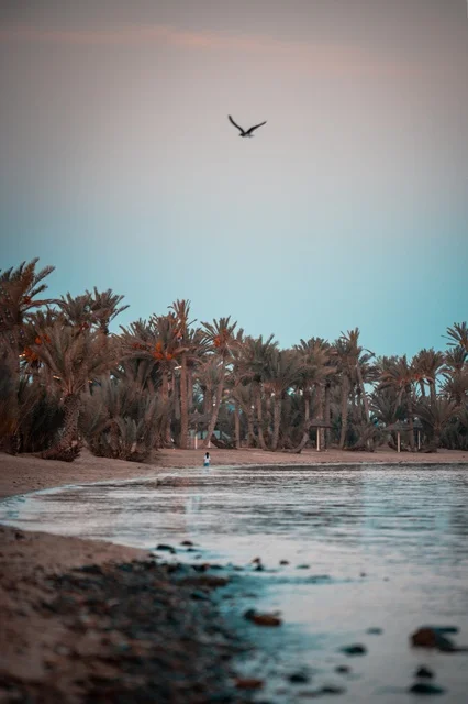 معالم سياحية بحرية في وقت الفجر، جمال البحر وهدوء الأجواء الطبيعية في لحظات الشروق الأول، المناظر الطبيعية على شواطئ أملج في مدينة تبوك, صفحة المياه الزرقاء الصافية، شواطئ المملكة العربية السعودية, أماكن السياحة وقضاء الوقت الممتع