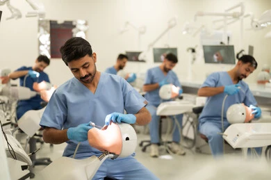 استخدام التجهيزات السنية العلاجية، معالجة التسوس وتركيب الحشوات، مجموعة من الطلاب الجامعيين بكلية الأسنان يرتدون القفازات يقومون بفحص الأسنان على مجسم