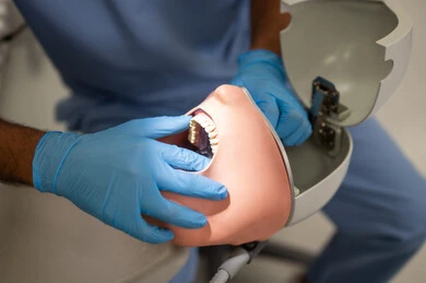 ترميم الأسنان المتضررة بالنخر والتسوس، صورة مقربة ليد طالب جامعي بكلية الأسنان يرتدي القفازات يقوم بفحص مجسم به طاقم أسنان، مفهوم التدريب العملي، المعدات والادوات اللازمة لإجراء الفحوصات, الأساليب العلاجية المتبعة للعناية بالفم