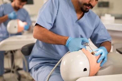 Treatment of decayed teeth and placing fillings, a university student in the dental college wearing gloves examining a model with a set of teeth, the concept of practical training, the equipment and tools necessary for conducting examinations, the therapeutic methods used for oral care.