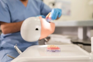 Removal of decay and refilling of teeth, a close-up image of a university dental student wearing gloves examining a model with a set of teeth, the concept of practical training, the equipment and tools necessary for conducting examinations, the therapeutic methods used for oral care.