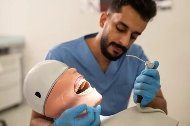 علاج الأسنان المتضررة بالنخر، طالب جامعي بكلية الأسنان يرتدي القفازات يقوم بفحص مجسم به طاقم أسنان، مفهوم التدريب العملي، المعدات والادوات اللازمة لإجراء الفحوصات, الأساليب العلاجية المتبعة للعناية بالفم