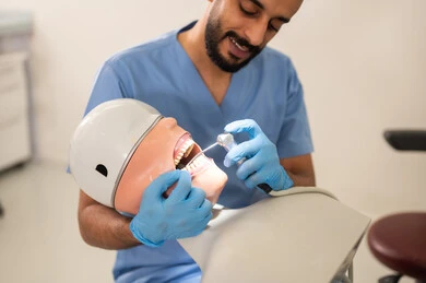 ترميم الأسنان المصابة بالتسوس، طالب جامعي بكلية الأسنان يرتدي القفازات يقوم بفحص مجسم به طاقم أسنان، مفهوم التدريب العملي، المعدات والادوات اللازمة لإجراء الفحوصات, الأساليب العلاجية المتبعة للعناية بالفم