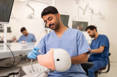 The use of dental treatment supplies, therapeutic methods for dental care, treatment of cavities and placement of fillings, a group of university students in the dental college wearing gloves examining teeth on a model.
