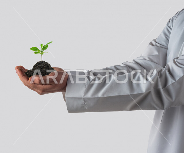 A close-up image of the hand of a Saudi Arabian Gulf man holding in his hands a small plant in its fertile soil, investment and financial development, development and achievement of economic goals