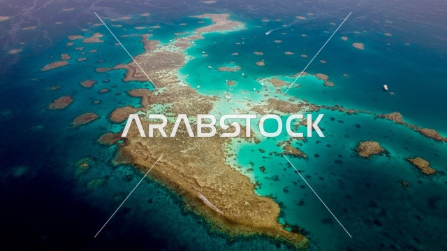 طبيعة تجمع بين الفخامة والهدوء، أنشطة صيفية ترفيهية، التصميم العصري لمنتجعات سندالة ومراسي اليخوت،  جذب واستقطاب السياح من انحاء العالم ، مياه البحر الأحمر الفيروزية تحيط بالجزيرة ذات الشواطئ البيضاء، صورة جوية لجزيرة سندالة في مشروع نيوم شمال غرب السعودية