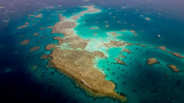 طبيعة تجمع بين الفخامة والهدوء، أنشطة صيفية ترفيهية، التصميم العصري لمنتجعات سندالة ومراسي اليخوت،  جذب واستقطاب السياح من انحاء العالم ، مياه البحر الأحمر الفيروزية تحيط بالجزيرة ذات الشواطئ البيضاء، صورة جوية لجزيرة سندالة في مشروع نيوم شمال غرب السعودية