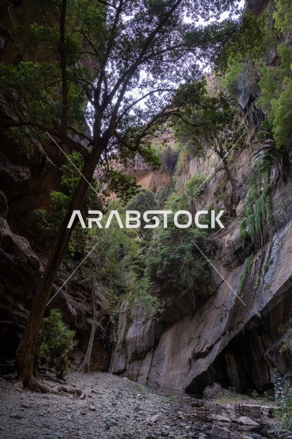 التكوينات الصخرية في وادي لجب بجازان في المملكة العربية السعودية، القمم والمرتفعات الصخرية، الاشجار والنباتات الخضراء، معالم جازان الطبيعية، السياحية في السعودية