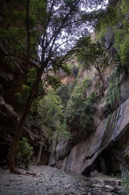 التكوينات الصخرية في وادي لجب بجازان في المملكة العربية السعودية، القمم والمرتفعات الصخرية، الاشجار والنباتات الخضراء، معالم جازان الطبيعية، السياحية في السعودية