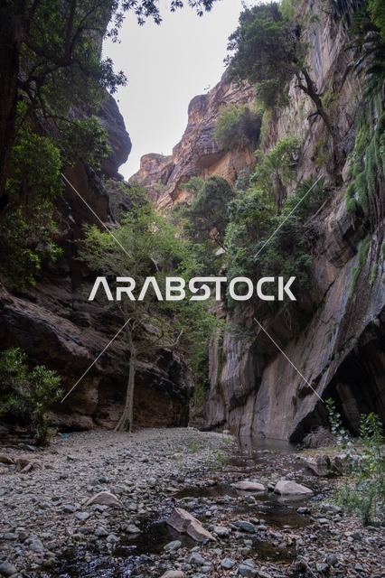 القمم والمرتفعات الصخرية،التكوينات الصخرية في وادي لجب بجازان في المملكة العربية السعودية،  الاشجار والنباتات الخضراء، معالم جازان الطبيعية، السياحية في السعودية