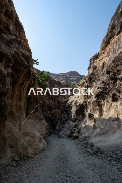 التكوينات الصخرية في وادي لجب بجازان في المملكة العربية السعودية، القمم والمرتفعات الصخرية، الاشجار والنباتات الخضراء، معالم جازان الطبيعية، المناطق السياحية في السعودية