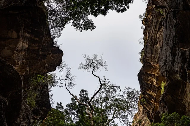 معالم جازان الطبيعية،القمم والمرتفعات الصخرية،التكوينات الصخرية في وادي لجب بجازان في المملكة العربية السعودية،  الاشجار والنباتات الخضراء، السياحية في السعودية