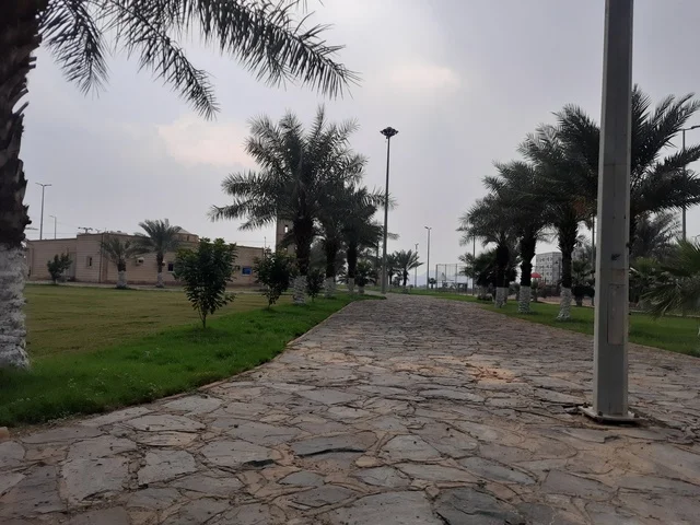 زراعة الأشجار والنباتات الخضراء في مدن المملكة العربية السعودية, السياحة وقضاء الوقت الممتع في المناطق المرتفعة, معالم سياحية مشهورة لجذب الزوار من شتى أنحاء العالم, ممشى مدينة الحجرة في منطقة الباحة, الطرقات والشوارع المعبدة في أماكن القمم والمرتفعات الجبلية