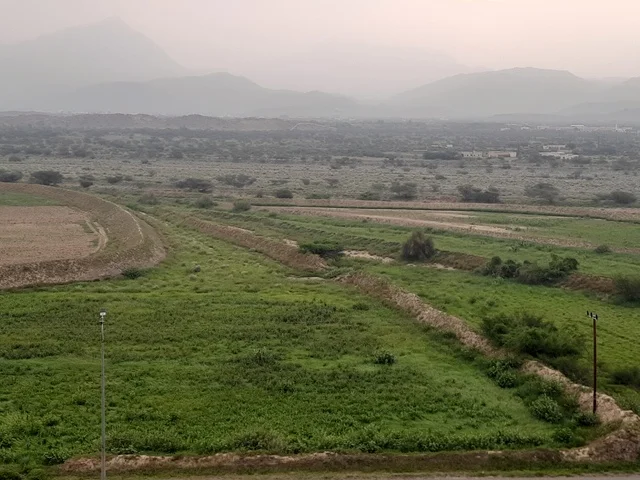 The natural trees and green plants during the day in the Al-Baha region, the scene of clouds and white cotton-like clouds in the sky of the Kingdom of Saudi Arabia, the background of nature.