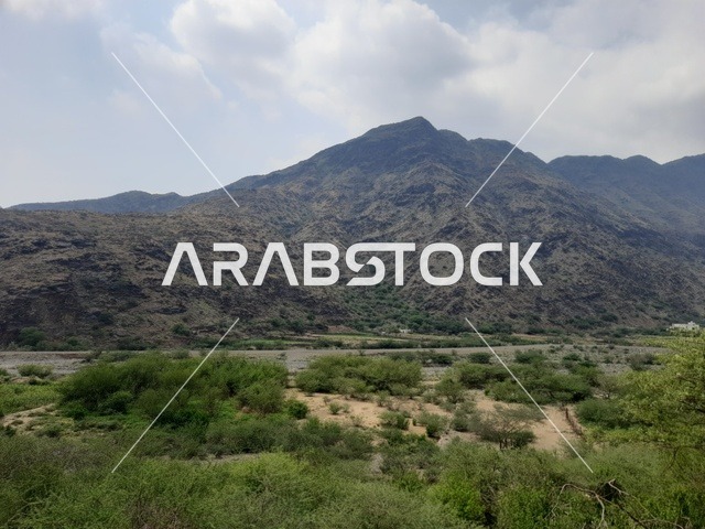 منظر طبيعي متميز للجبل في منطقة الباحة في المملكة العربية السعودية، الاهتمام بزراعة أشجار النخيل الخضراء في قرية الرخام في ذي عين الأثرية, التكوين والتشكيل الصخري للمرتفع الجبلي, معلم سياحي مشهور، مكان جذب واستقطاب السائحين