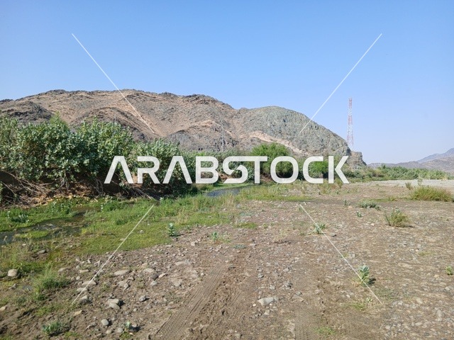 الاستمتاع بالمناظر الطبيعية للجبال والاشجارالخضراء، المناطق والمعالم السياحية المشهورة، جبال الباحة في المملكة العربية السعودية في وقت النهار، السماء صافية والشمس ساطعة على قمم الجبال، خلفية الطبيعة