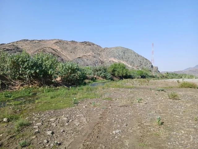 الاستمتاع بالمناظر الطبيعية للجبال والاشجارالخضراء، المناطق والمعالم السياحية المشهورة، جبال الباحة في المملكة العربية السعودية في وقت النهار، السماء صافية والشمس ساطعة على قمم الجبال، خلفية الطبيعة