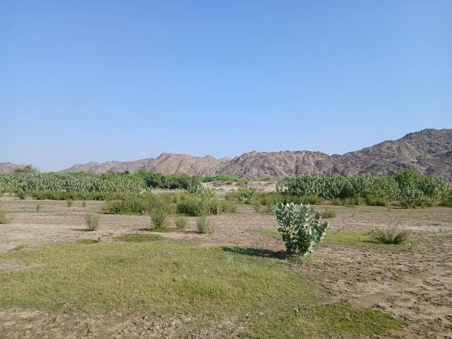 الاستمتاع بالمناظر الطبيعية للجبال والاشجارالخضراء، المناطق والمعالم السياحية المشهورة، جبال الباحة في المملكة العربية السعودية في وقت النهار، السماء صافية والشمس ساطعة على قمم الجبال، خلفية الطبيعة