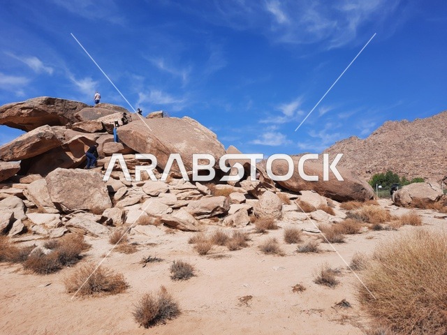 Dry herbs in desert areas, safari trips and fun recreational activities in Al-Ula, tourist attractions in the desert regions of the Kingdom, rock formations and structures in the middle of the Saudi desert, ancient historical archaeological sites.